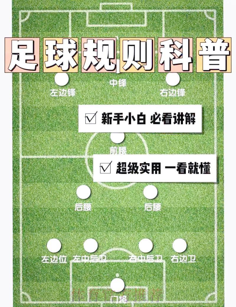 世界杯外围入口地址查找方法全面解析